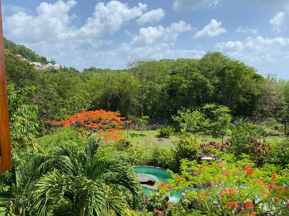 C'est La Vie, Trouya, St Lucia - Gallery image 12