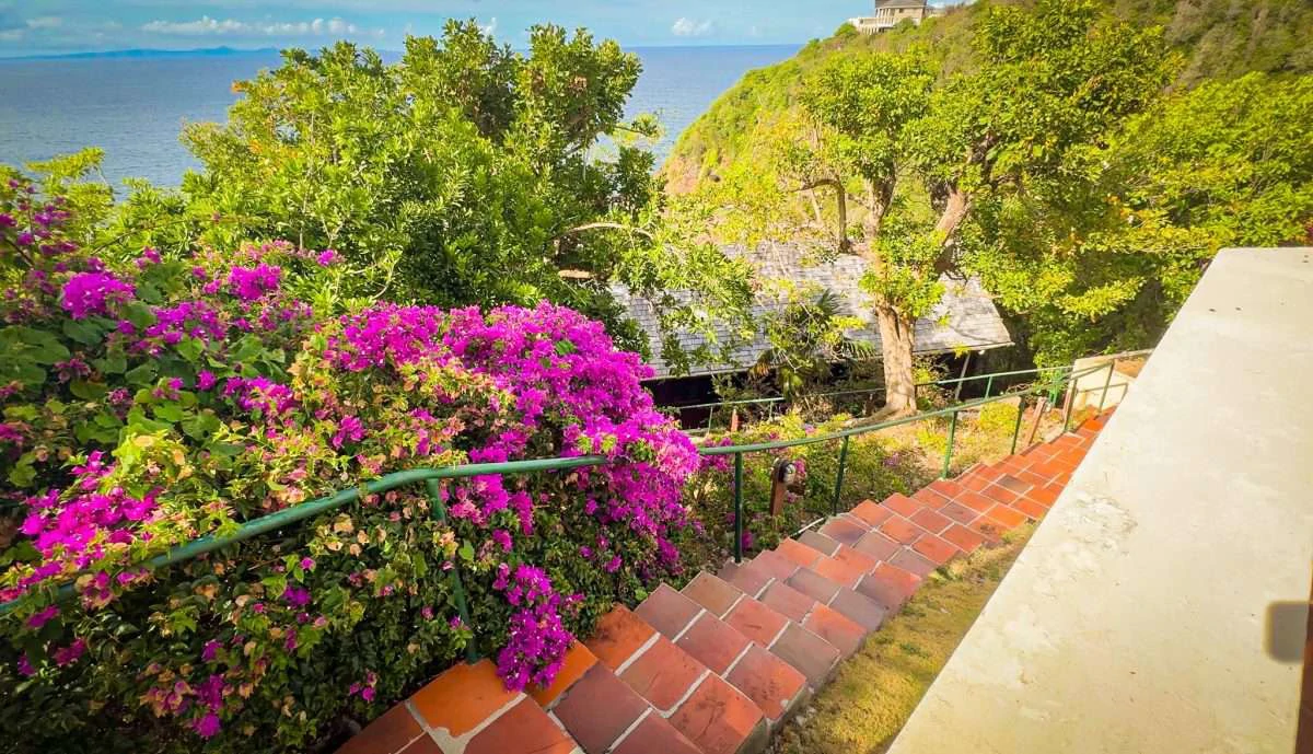 Sea Cliff, Cap Estate. - Gallery image 19
