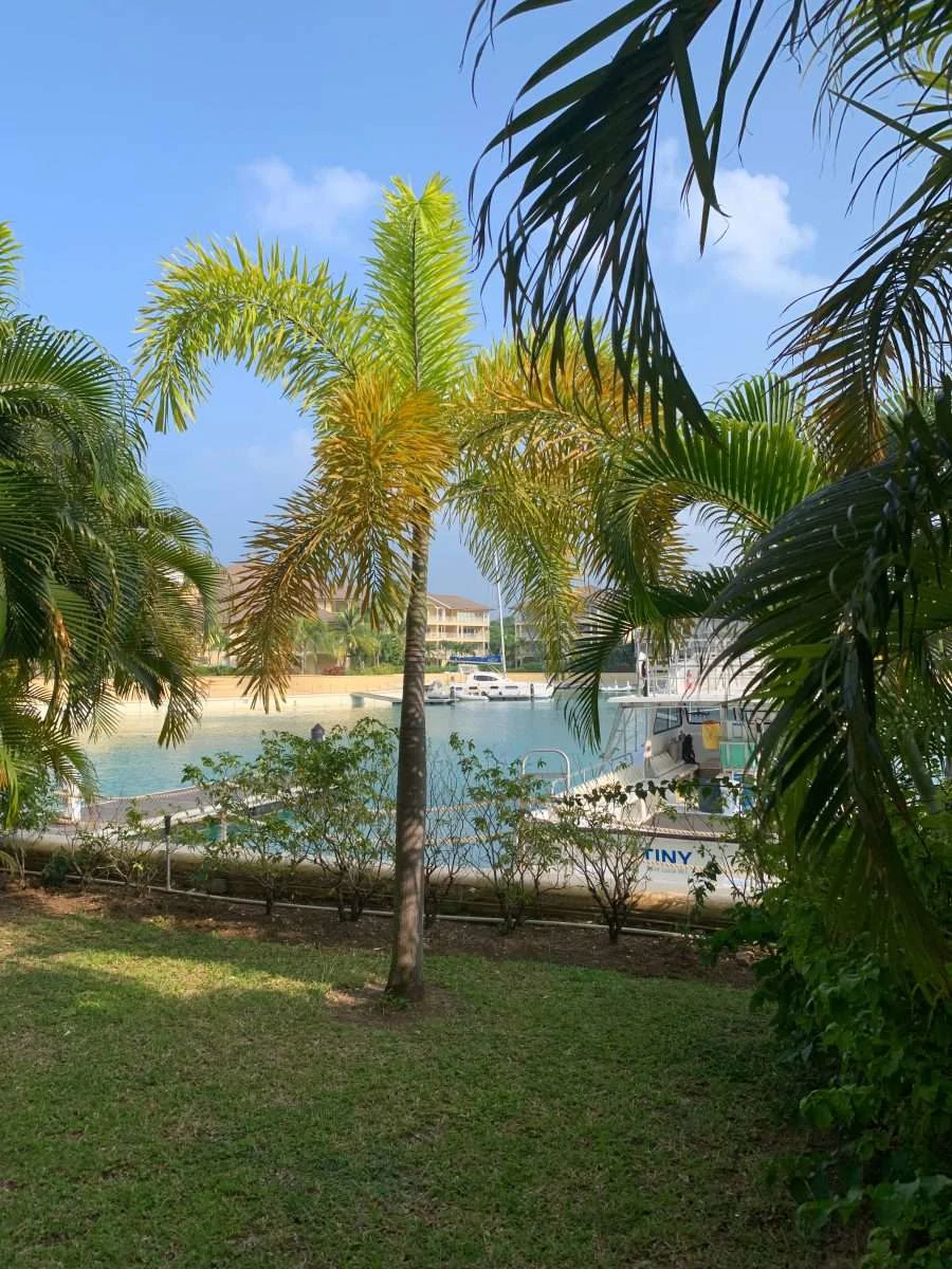 Landing 2301, Rodney Bay. - photo 23