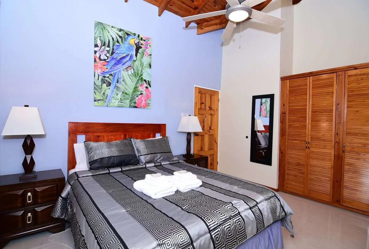 Rodney Cap Villa, Rodney Heights. - Gallery image 19