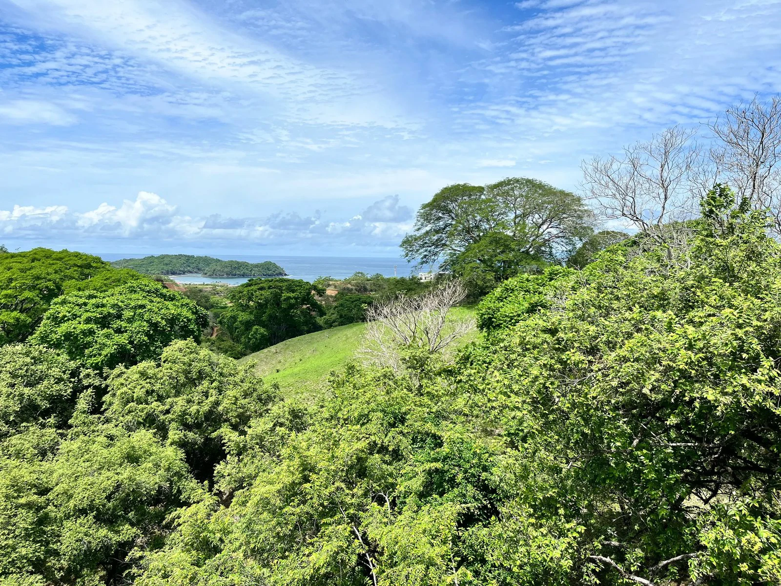 The Knoll Compound, 3 Plots | Playa Venao