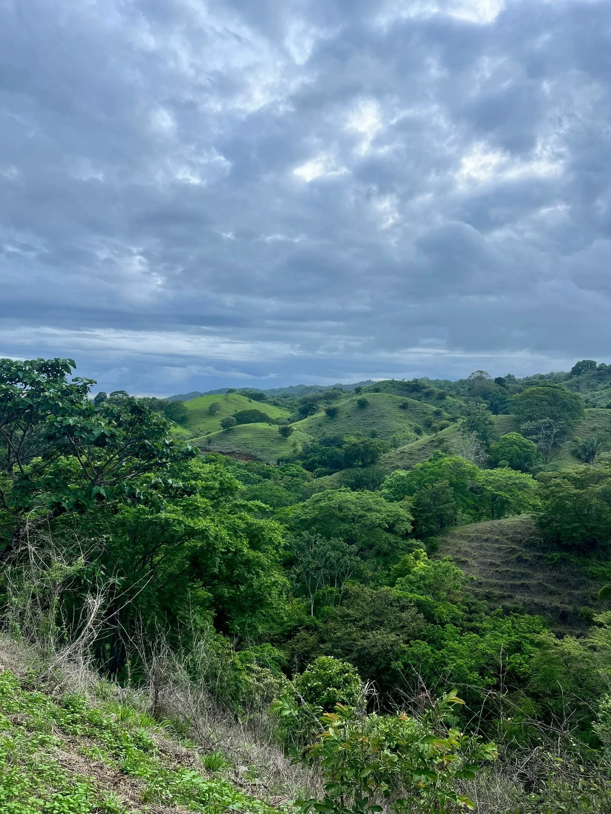 The Meadow Compound, 6 Plots | Playa Venao