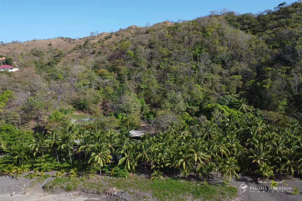 Land in Cambutal - Gallery image 8
