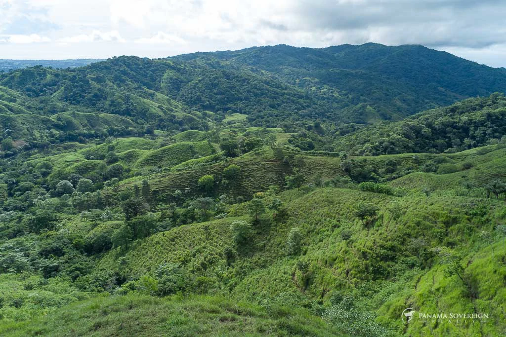 Land in Cambutal - Gallery image 3