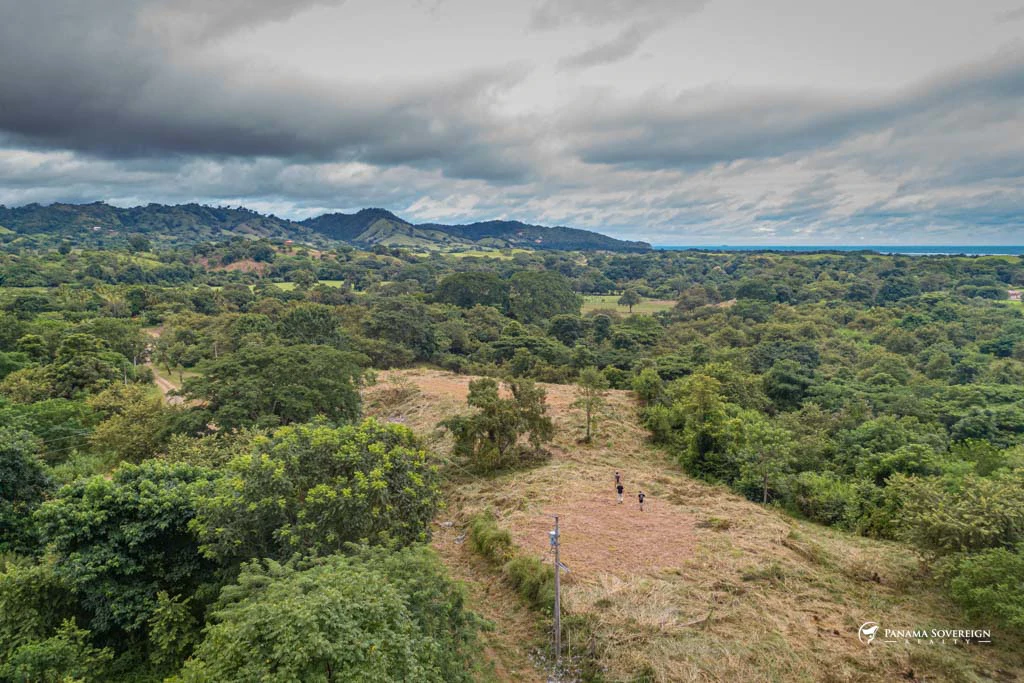 Land in Canas - Gallery image 17
