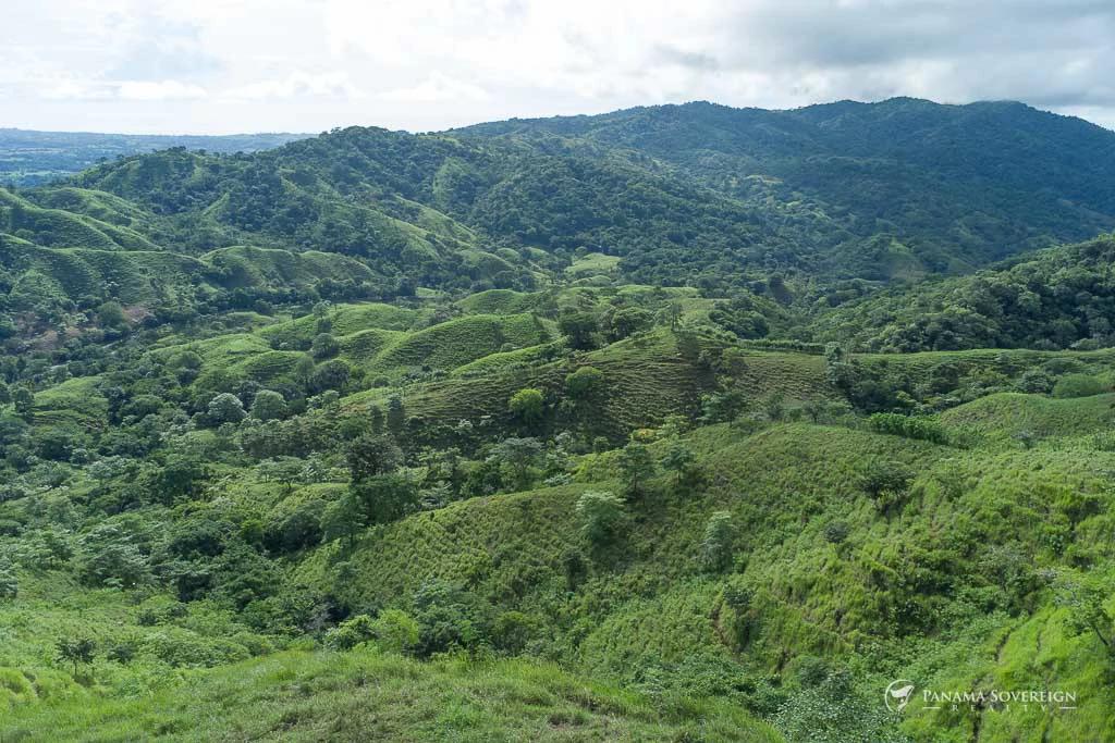 Land in Cambutal - Gallery image 2