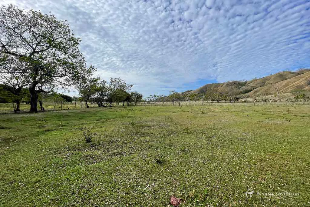 Land in Cambutal - Gallery image 12