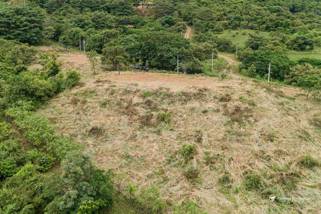 Land in Canas - Gallery image 15