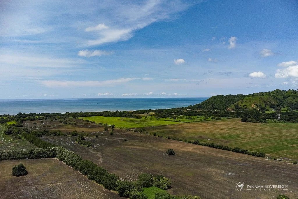 Land in Cambutal - Gallery image 7