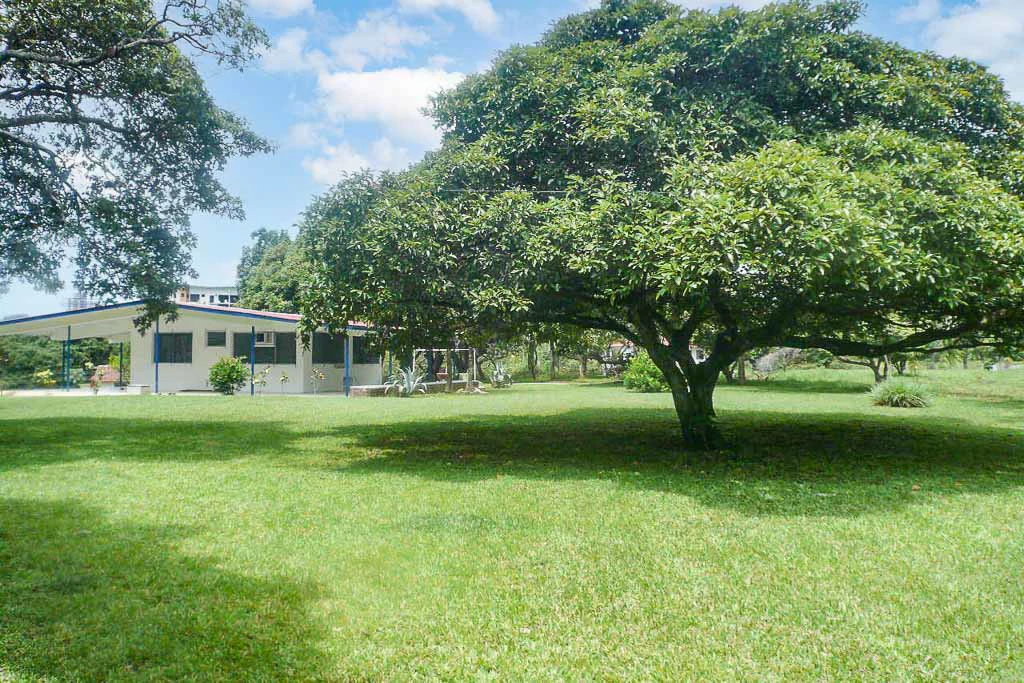 Land in Chame - Gallery image 3