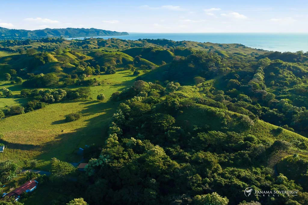 Land in Guanico - Gallery image 3