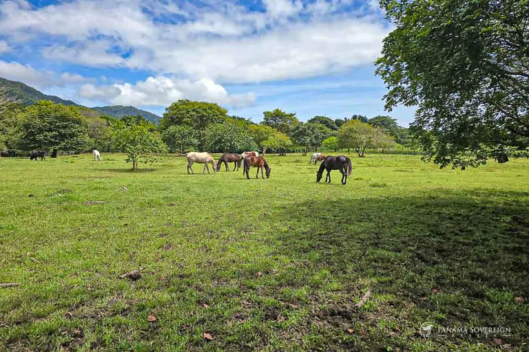 Land in Cambutal