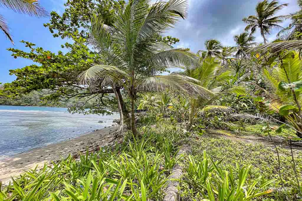 Land in Colon - Gallery image 17