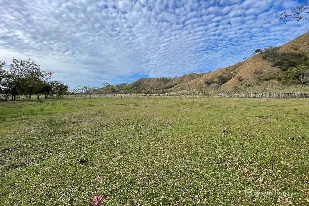 Land in Cambutal - Gallery image 13