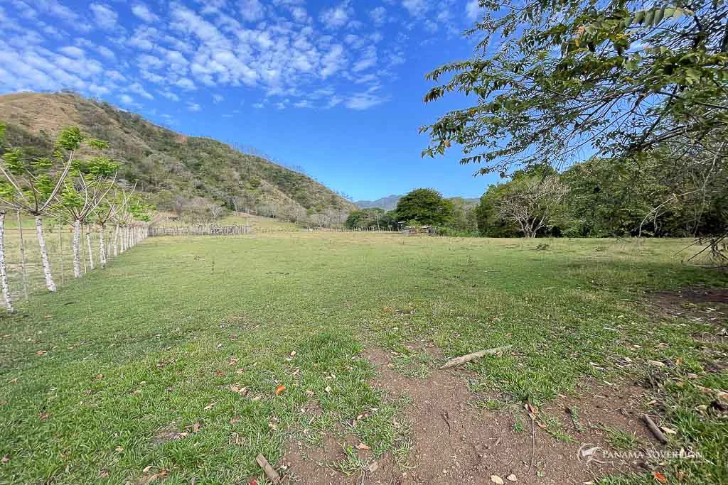 Land in Cambutal - Gallery image 9