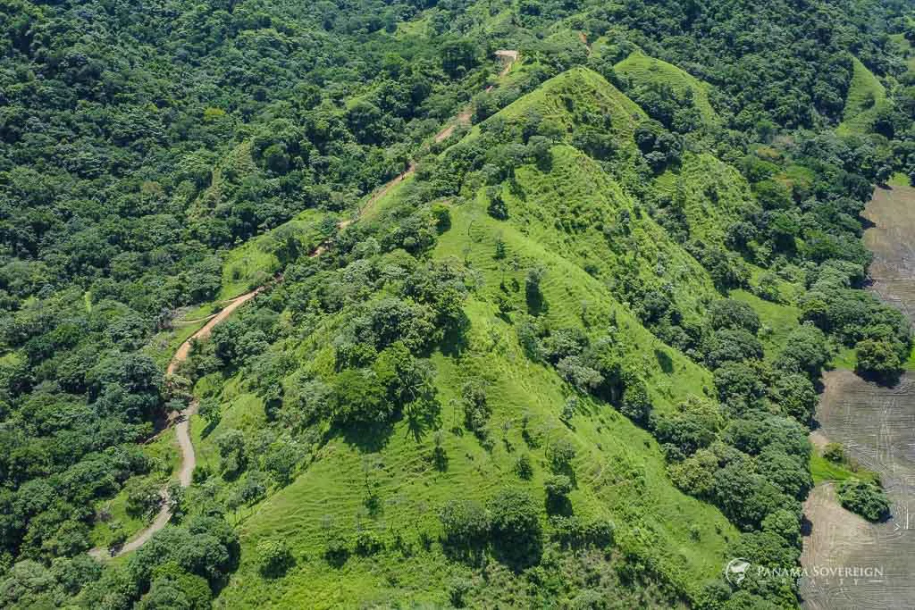 Land in Cambutal - Gallery image 27