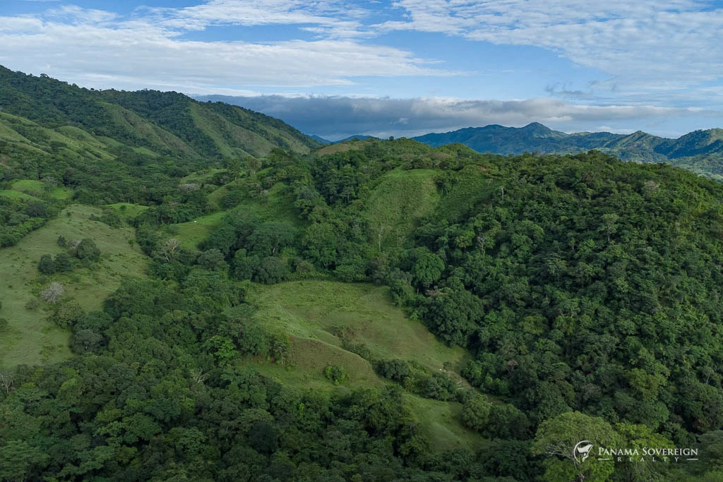 Land in Cambutal - Gallery image 3