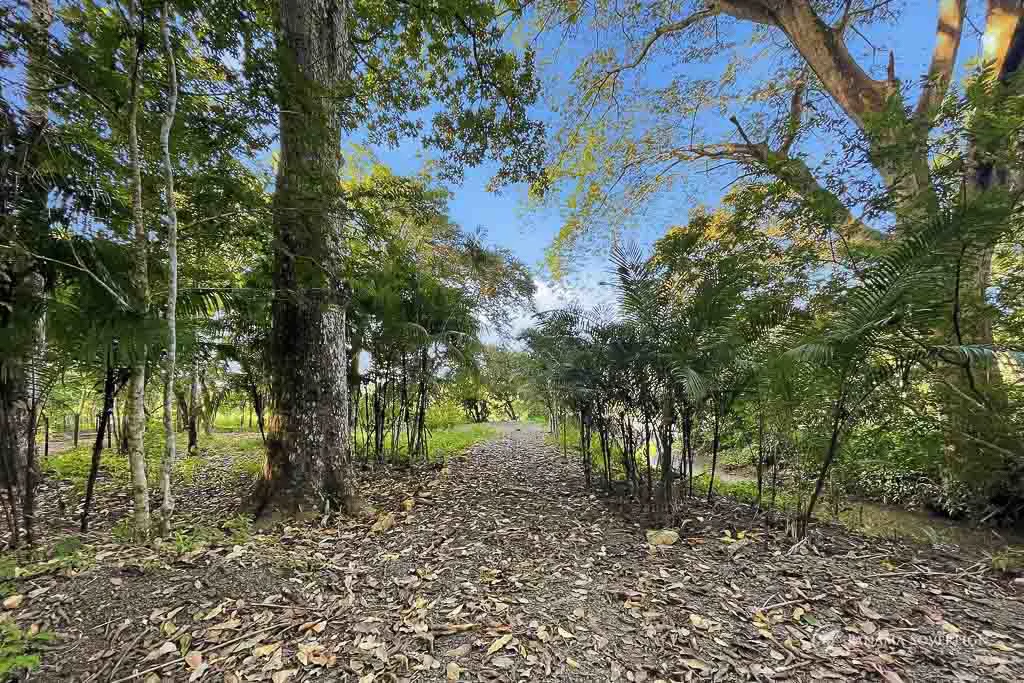 Land in Guanico - Gallery image 11