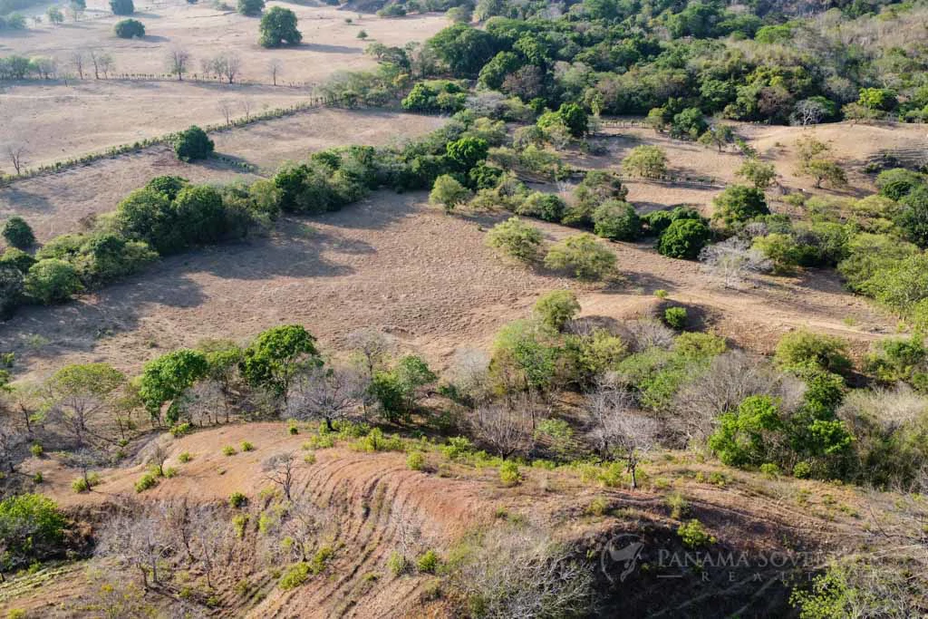 Land in Cambutal - Gallery image 8