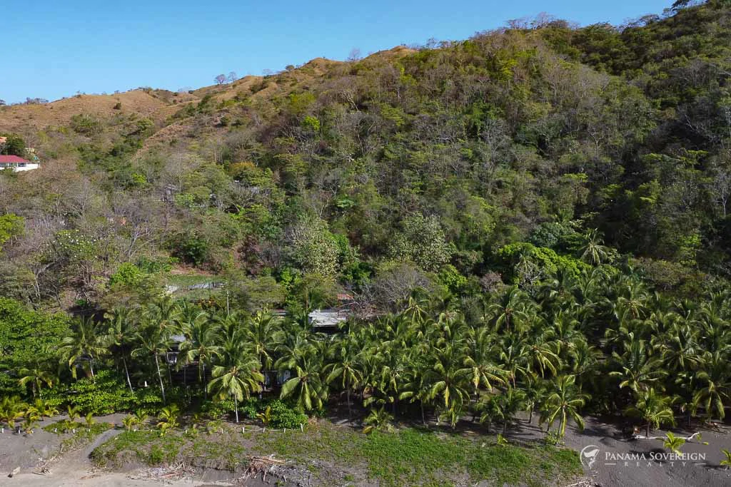 Land in Cambutal - Gallery image 9