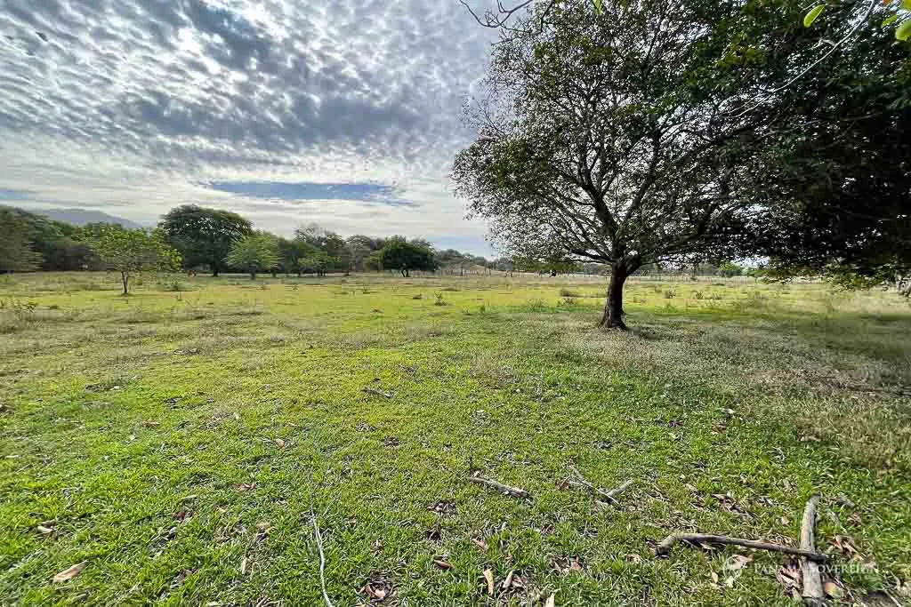 Land in Cambutal - Gallery image 7