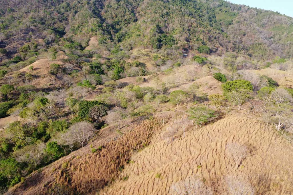 Land in Cambutal - Gallery image 4