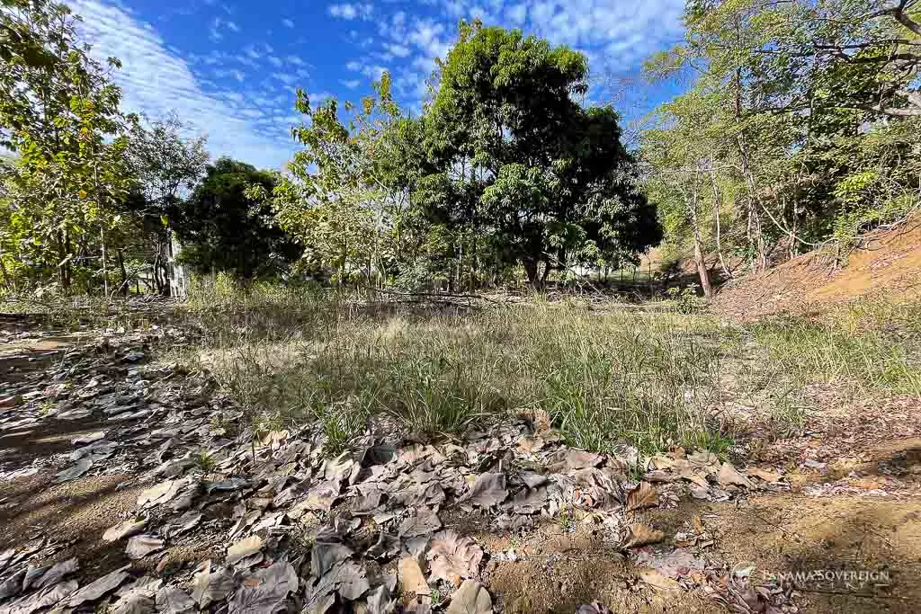 Land in Cambutal - Gallery image 10