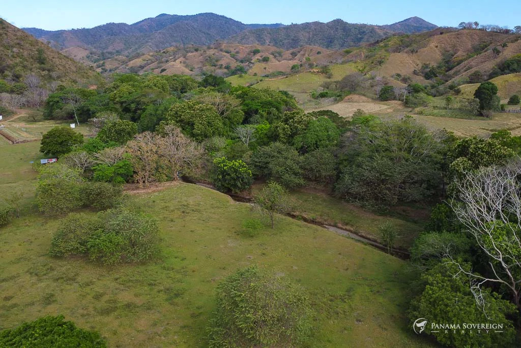 Land in Cambutal - Gallery image 6