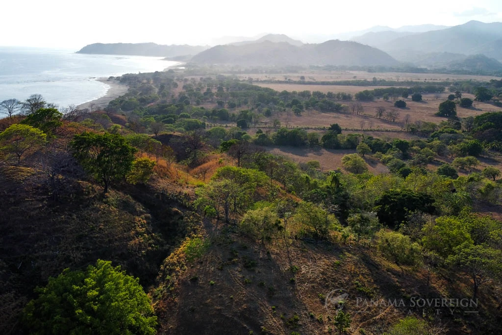 Land in Cambutal - Gallery image 6