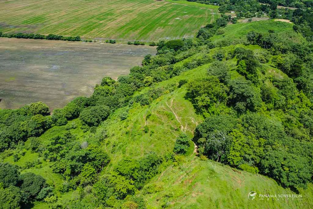 Land in Cambutal - Gallery image 3
