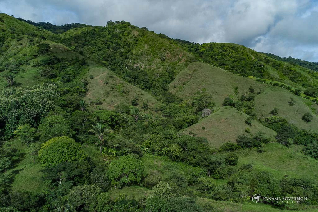 Land in Cambutal - Gallery image 9