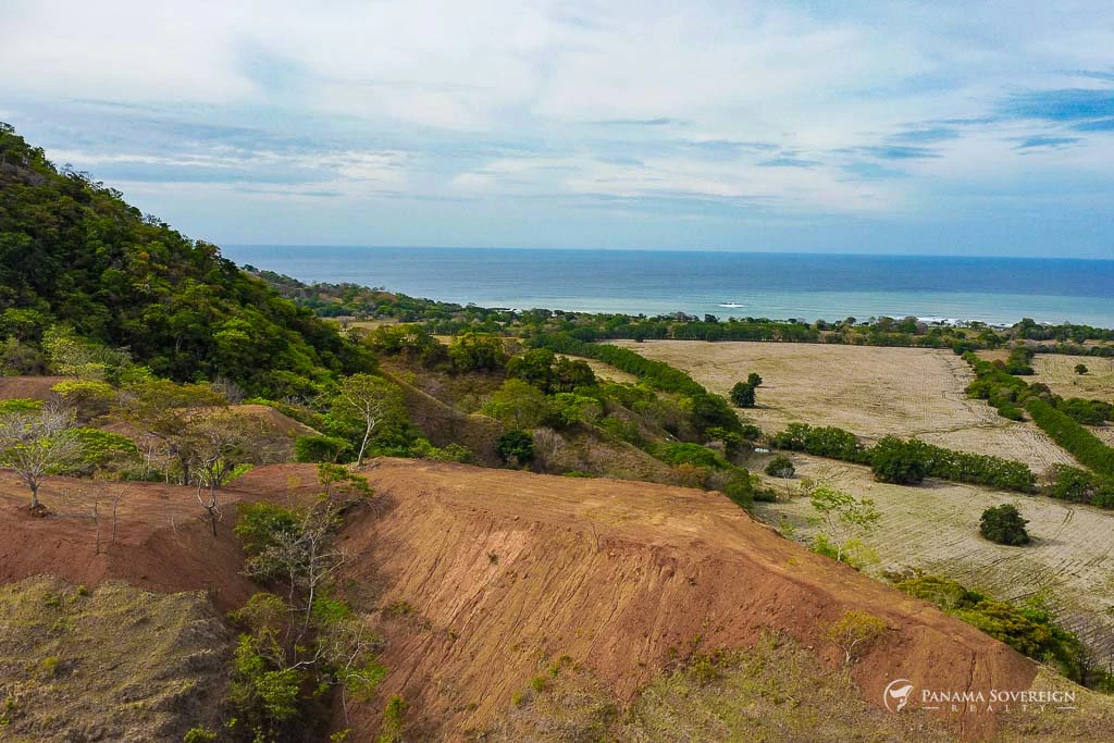 Land in Cambutal - Gallery image 14