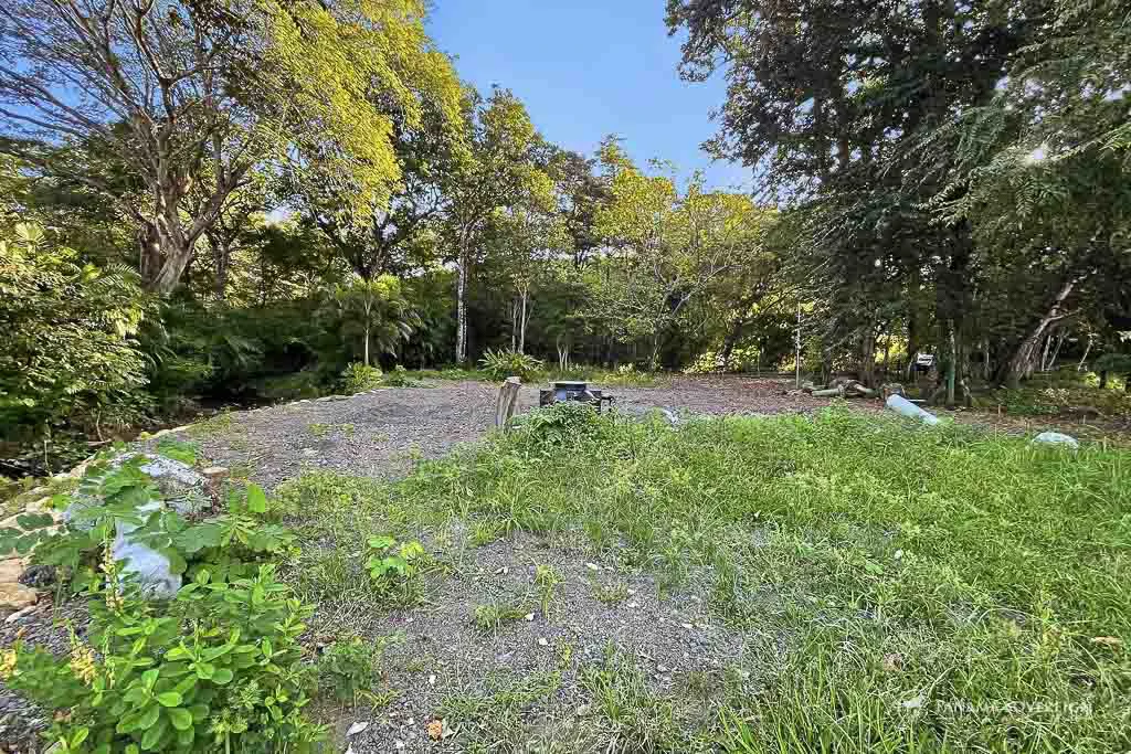 Land in Guanico - Gallery image 6