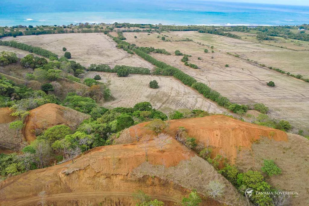Land in Cambutal - Gallery image 19