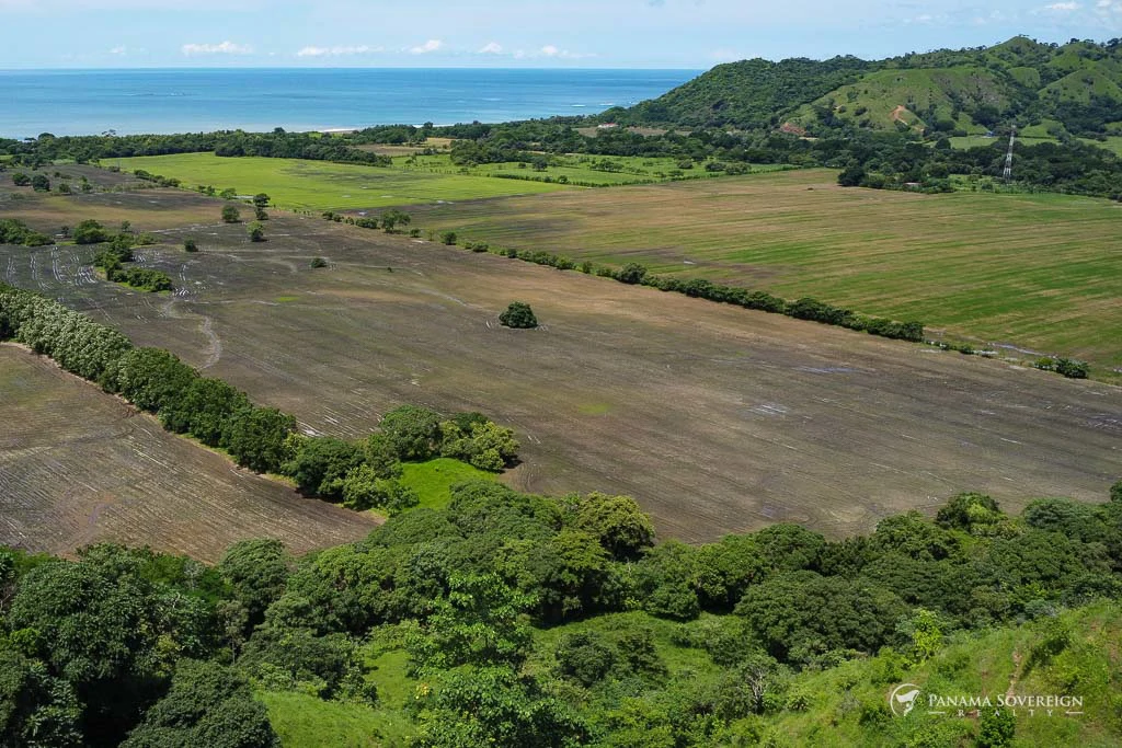 Land in Cambutal - Gallery image 24
