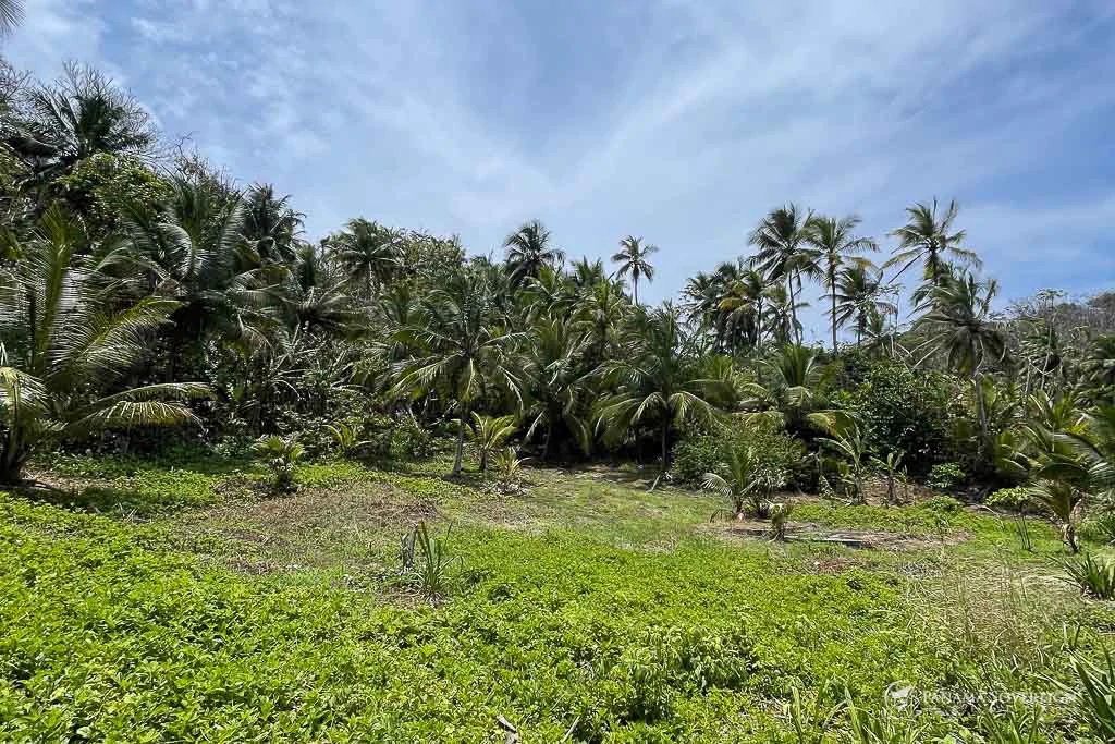 Land in Colon - Gallery image 14