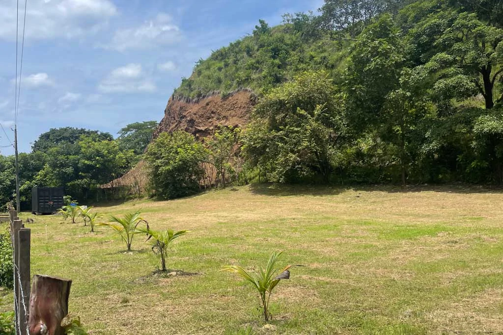 Land in Cambutal - Gallery image 8