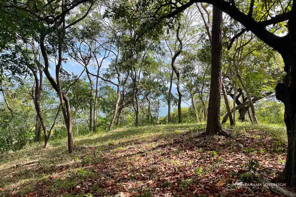 Land in Bucaro - Gallery image 8