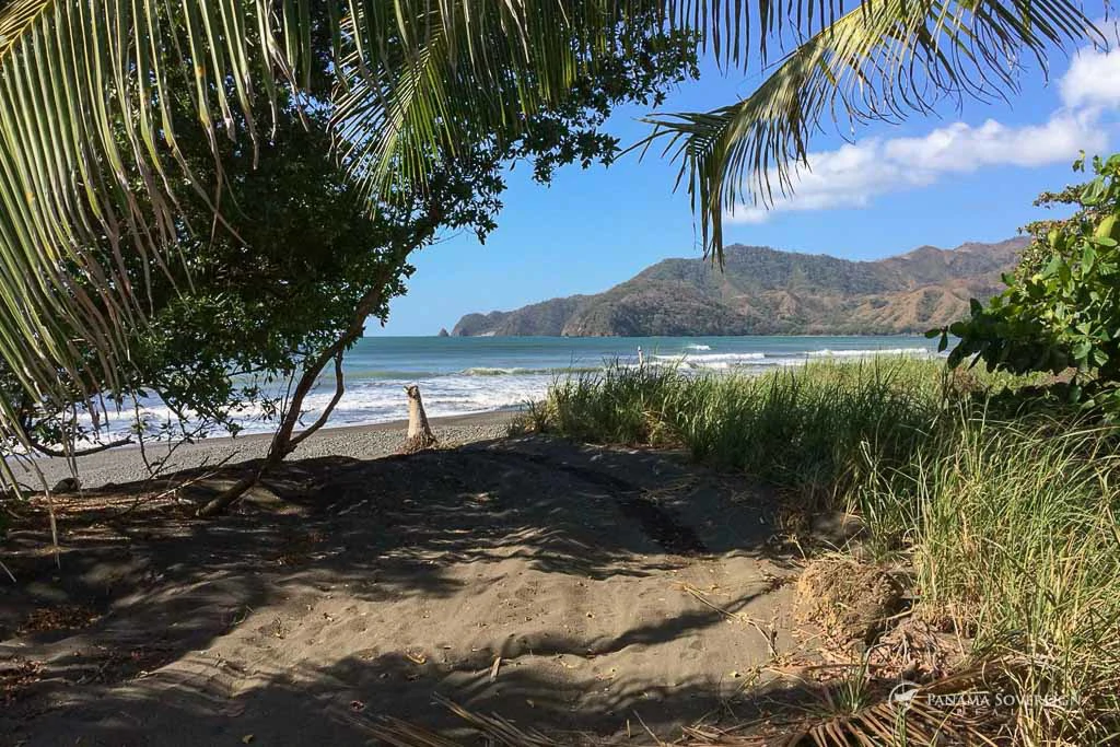 Land in Guanico - Gallery image 2