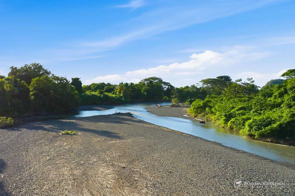 Land in Guanico - Gallery image 2