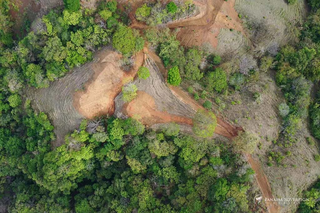 Land in Cambutal - Gallery image 16