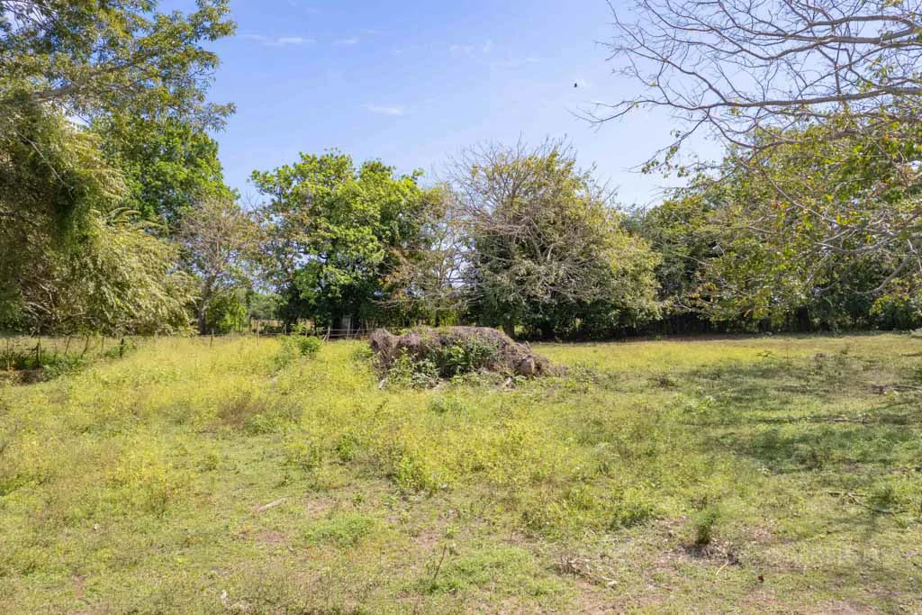 Land in Pedasi - Gallery image 4