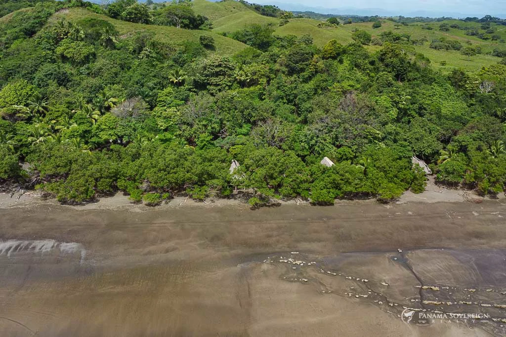 Land in Guanico - Gallery image 13