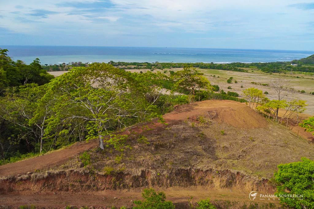 Land in Cambutal - Gallery image 12