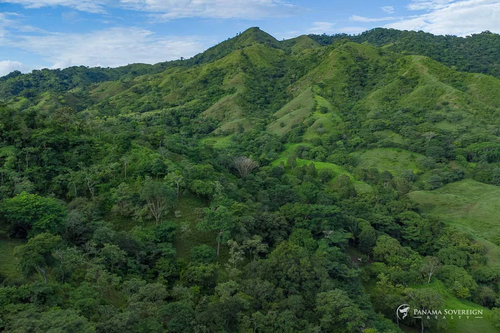 Land in Cambutal