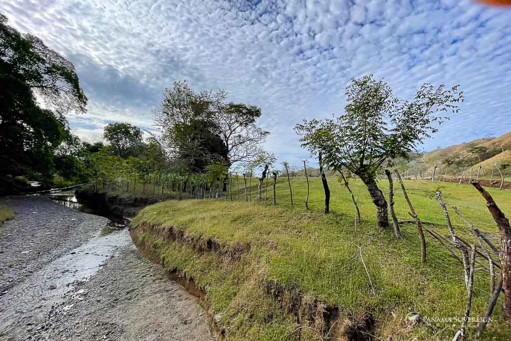 Land in Cambutal - Gallery image 4