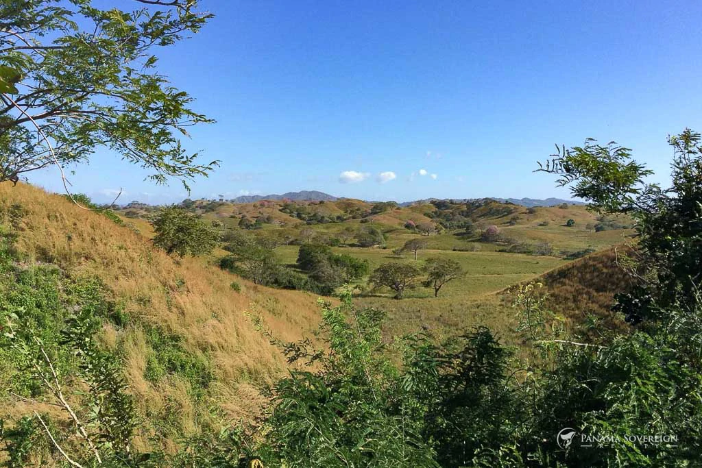 Land in Guanico - Gallery image 3