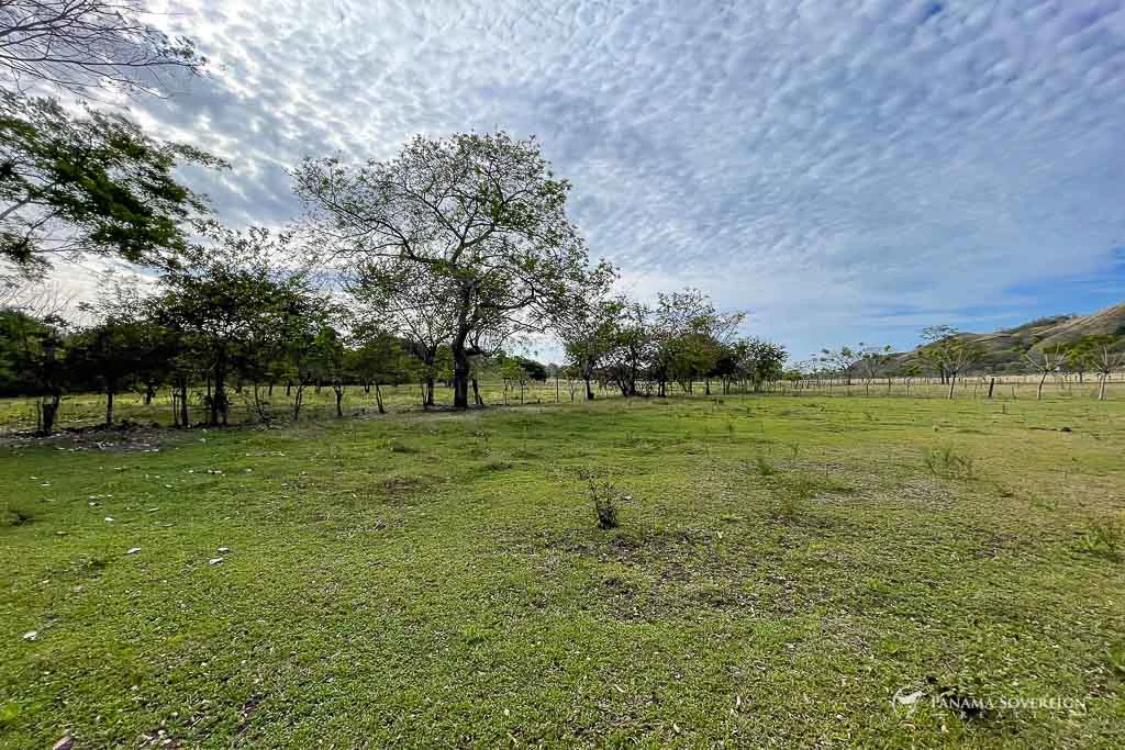 Land in Cambutal - Gallery image 11