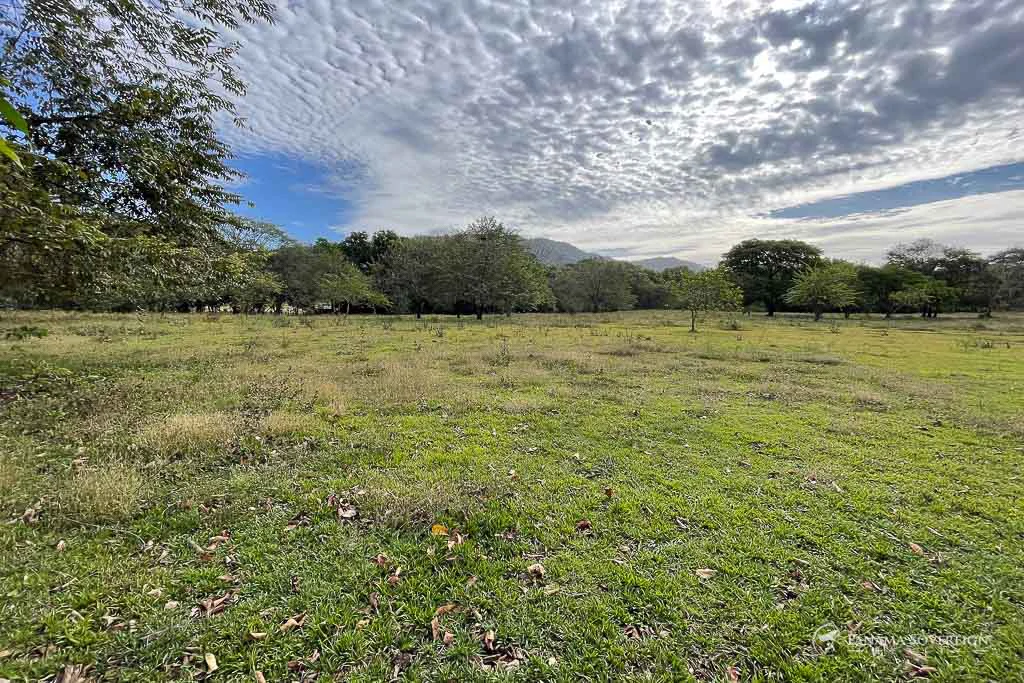 Land in Cambutal - Gallery image 8