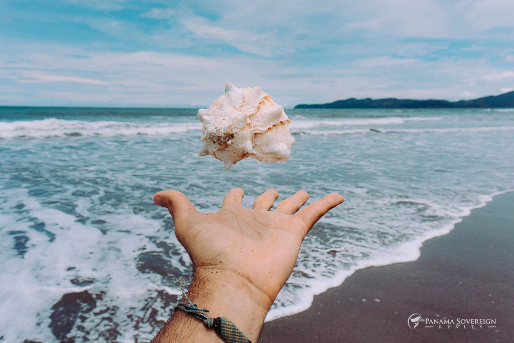 Land in Playa Venao - Gallery image 16